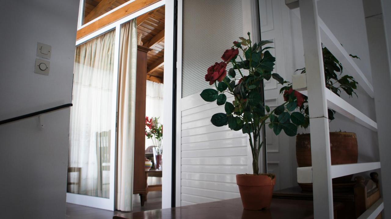 Stavros Amazing Apartment In The Centre Of Kos Cidade de Kos Exterior foto